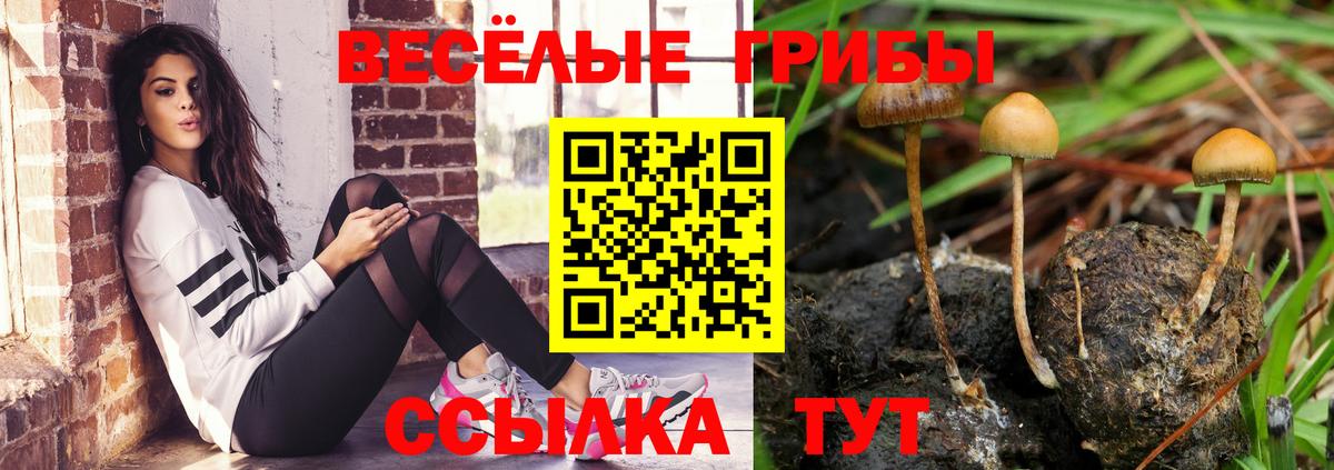 Галлюциногенные грибы мицелий Красноярск